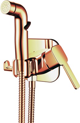 Смеситель с гигиеническим душем RUSH Capri встраиваемый, бронза (CA1435-99BR) - фото 372027