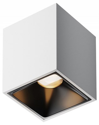  MY_C065CL-8W3K-SQ-WB - фото 864318