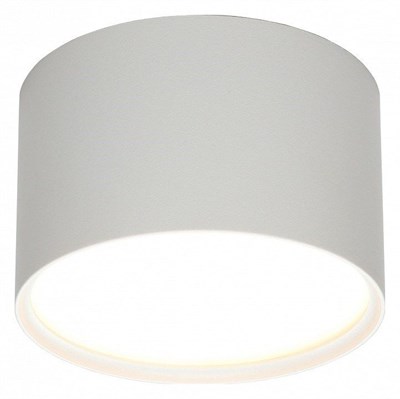 Накладной светильник Omnilux Abano OML-103309-06 OM_OML-103309-06