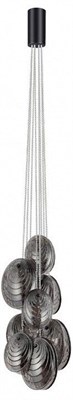 Подвесная люстра Odeon Light Mussels 5038/8 OD_5038_8
