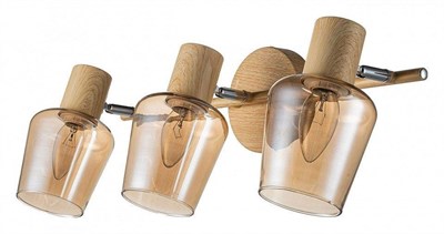 Спот Escada Woody 691/3P esc_691_3p