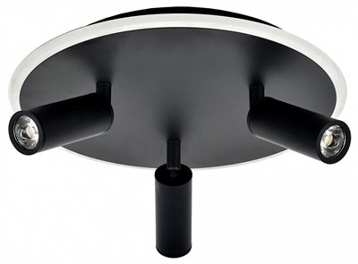Светильник на штанге Escada 20046LED 20046SMA/03LED BK esc_20046sma_03led_bk