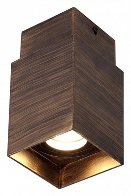 Накладной светильник Favourite Retro 2794-1C fv_2794-1c