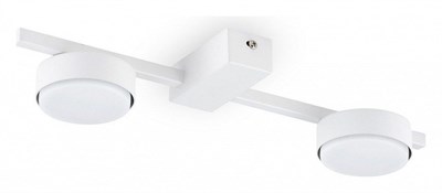 Накладной светильник Freya Tactic FR5363CL-02W MY_FR5363CL-02W