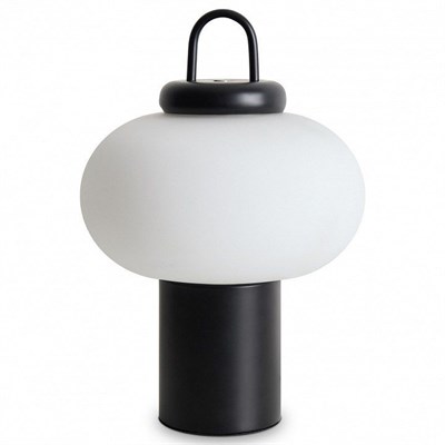 Настольная лампа декоративная Freya Take FR6175TL-L10B MY_FR6175TL-L10B