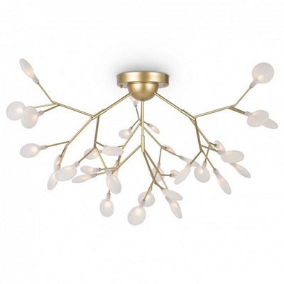 Потолочная люстра Freya Florencia FR5049CL-36G MY_FR5049CL-36G