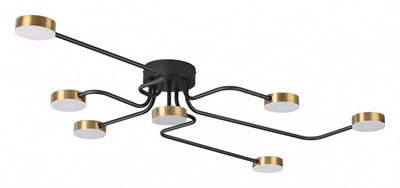 Потолочная люстра Lumion Flint 6532/99CL lmn_6532_99cl