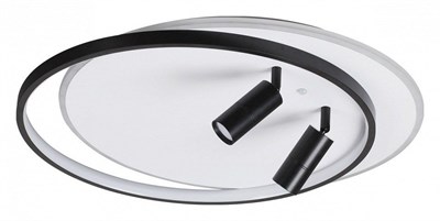 Накладной светильник Lumion Naoko 5603/75CL lmn_5603_75cl