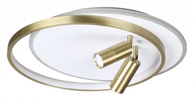 Накладной светильник Lumion Naoko 5603/63CL lmn_5603_63cl