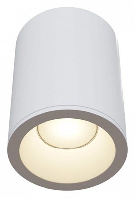 Накладной светильник Maytoni Zoom C029CL-01W my_c029cl-01w