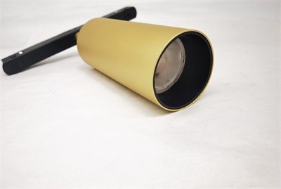 Светильник на штанге Maytoni Focus TR032-2-12W3K-S-MG MY_TR032-2-12W3K-S-MG