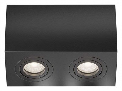 Накладной светильник Maytoni Atom C017CL-02B my_c017cl-02b