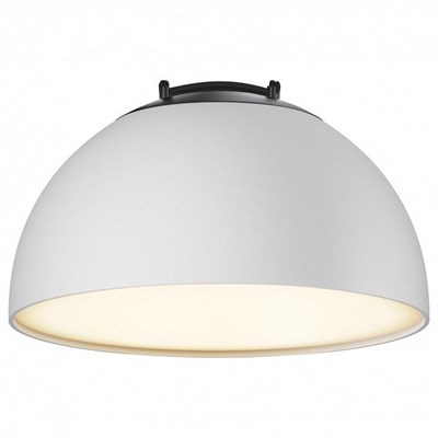 Накладной светильник Maytoni Bowl TR126B-20W3K-W my_tr126b-20w3k-w