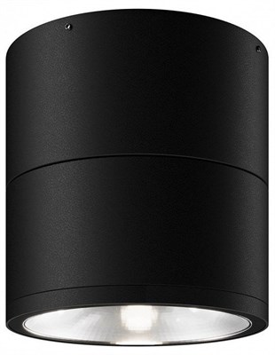 Накладной светильник Maytoni Spin O310CL-L12GF3K my_o310cl-l12gf3k