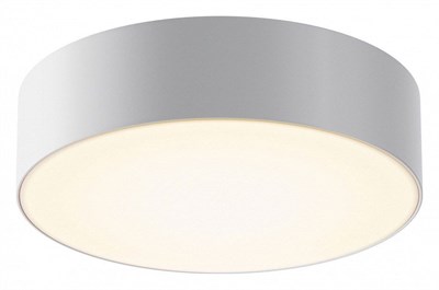 Накладной светильник Maytoni Zon IP O431CL-L30W3K my_o431cl-l30w3k