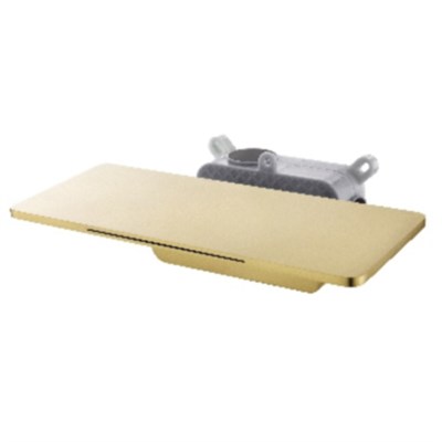 Встраиваемый излив с полкой Raglo R473.62.03, золотой сатин R473.62.03