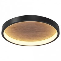 Накладной светильник Maytoni Orign MOD311CL-L27B3K my_mod311cl-l27b3k