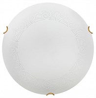 Накладной светильник Sonex Ammonite 7602/DL SN_7602_DL