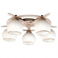 Потолочная люстра Omnilux Fronteira OML-50517-05 OM_OML-50517-05