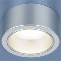 Накладной светильник Elektrostandard 1070 a035976 ELK_a035976