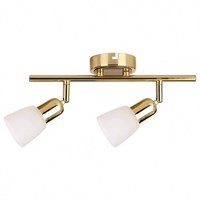 Спот Escada Fabius 5039/2PA esc_5039_2pa