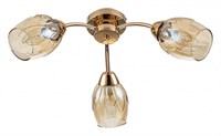 Потолочная люстра Escada Allium 663/3P esc_663_3p