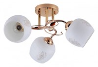 Потолочная люстра Escada Anemone 1121/3PL esc_1121_3pl