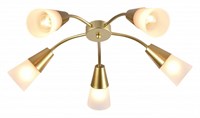 Потолочная люстра Escada Aquilegia 1100/5P Gold esc_1100_5p_gold
