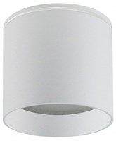 Накладной светильник Favourite Fantum 4662-1U FV_4662-1U