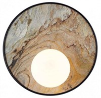 Накладной светильник Favourite Messier 4594-1W FV_4594-1W