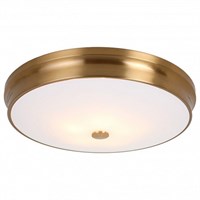 Накладной светильник Favourite Pannikin 2375-5C FV_2375-5C