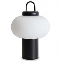 Настольная лампа декоративная Freya Take FR6175TL-L10B MY_FR6175TL-L10B