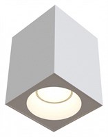 Накладной светильник Maytoni Zoom C030CL-01W my_c030cl-01w