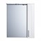 Зеркало-шкаф IDDIS Sena 60 (SEN6000i99) SEN6000i99