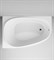Акриловая ванна AM.PM Like 170x110 L W80A-170L110W-A, без гидромассажа W80A-170L110W-A