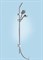 Душевой гарнитур Hansgrohe Croma 100 Multi / Unica 'Reno Lift 27791, 1,05 м, корпус хром, лицевая часть серая 27791000 - фото 391612 Душевой гарнитур Hansgrohe Croma 100 Multi / Unica 'Reno Lift 27791, 1,05 м, корпус хром, лицевая часть серая 27791000 - фото 391612