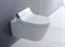 Крышка-сиденье Duravit SensoWash Starck 610001002000300 без УЗО,  с функцией биде 610001002000300