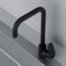 Смеситель для кухни AM.PM Like F8006022 Черный F8006022