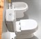 Сиденье для унитаза Cezares King Palace CZR-T-163-M-S-Br Белое с Микролифтом CZR-T-163-M-S-Br