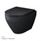 Унитаз AM.PM Spirit V2.0 C701700MBSC подвесной, Черный матовый с сиденьем микролифт C701700MBSC