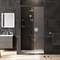 Душевая дверь AM.PM Gem Solo 100 W90G-100-1-195BM профиль, Черный матовый стекло матовое-прозрачное W90G-100-1-195BM