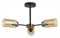Люстра на штанге Lumion Dallin 5640/3C LMN_5640_3C
