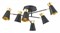 Люстра на штанге Lumion Liam 3790/6C lmn_3790_6c